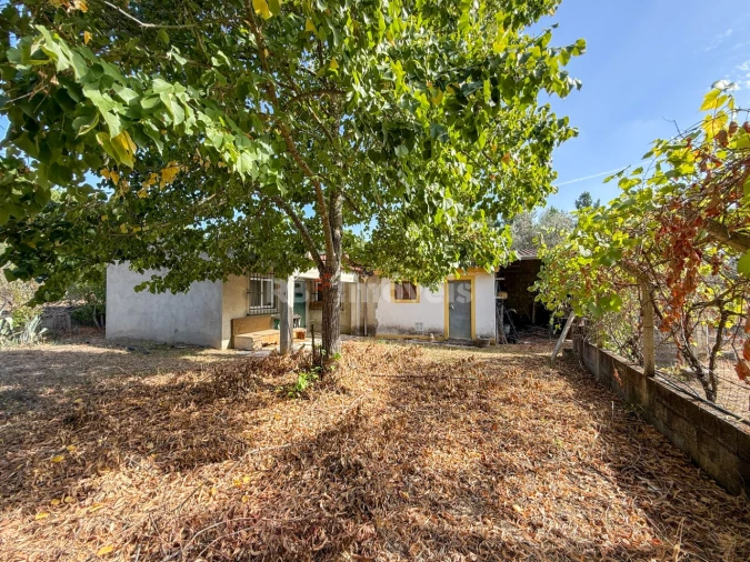 Quinta para Venda em São Miguel do Rio Torto e Rossio Ao Sul do Tejo Foto 20