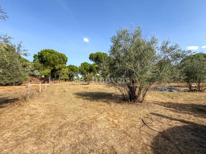 Quinta para Venda em São Miguel do Rio Torto e Rossio Ao Sul do Tejo Foto 21