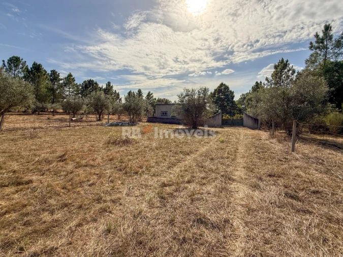 Quinta para Venda em São Miguel do Rio Torto e Rossio Ao Sul do Tejo Foto 25
