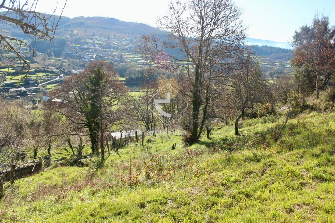 Moradia T2 para Venda em Insalde e Porreiras Foto 39