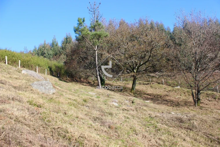 Moradia T2 para Venda em Insalde e Porreiras Foto 33