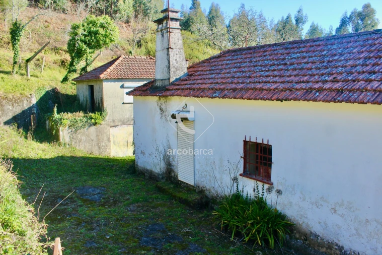 Moradia T2 para Venda em Insalde e Porreiras Foto 27