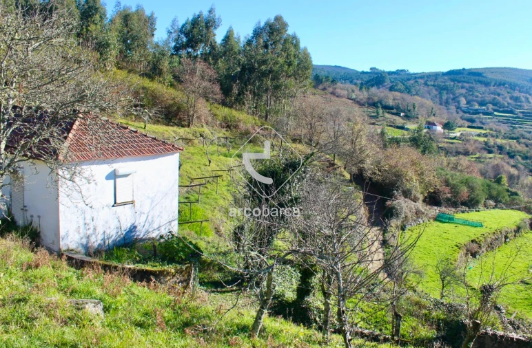 Moradia T2 para Venda em Insalde e Porreiras Foto 9