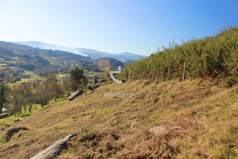 Moradia T2 para Venda em Insalde e Porreiras Foto 35