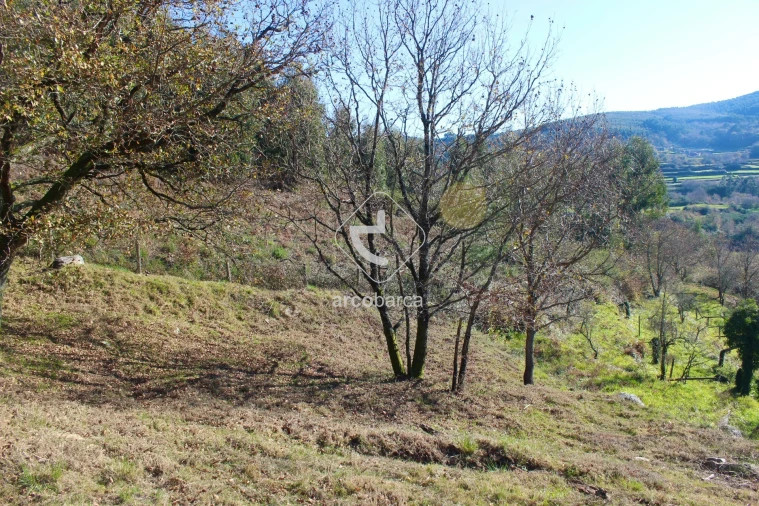 Moradia T2 para Venda em Insalde e Porreiras Foto 34