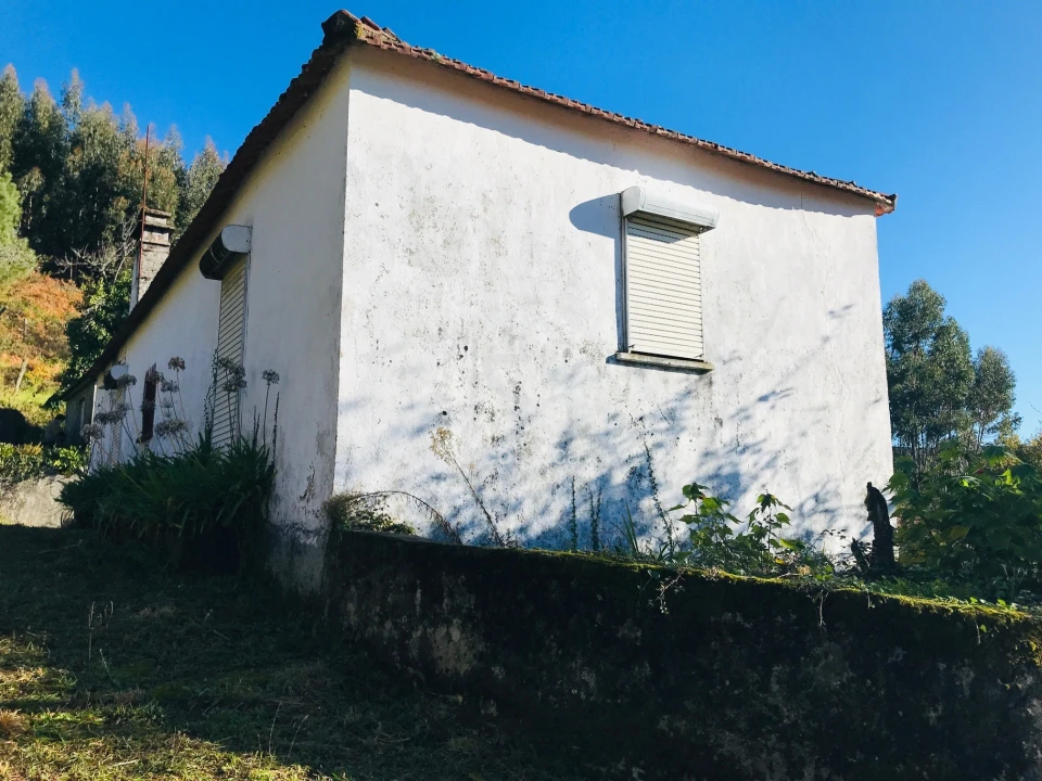 Moradia T2 para Venda em Insalde e Porreiras Foto 4