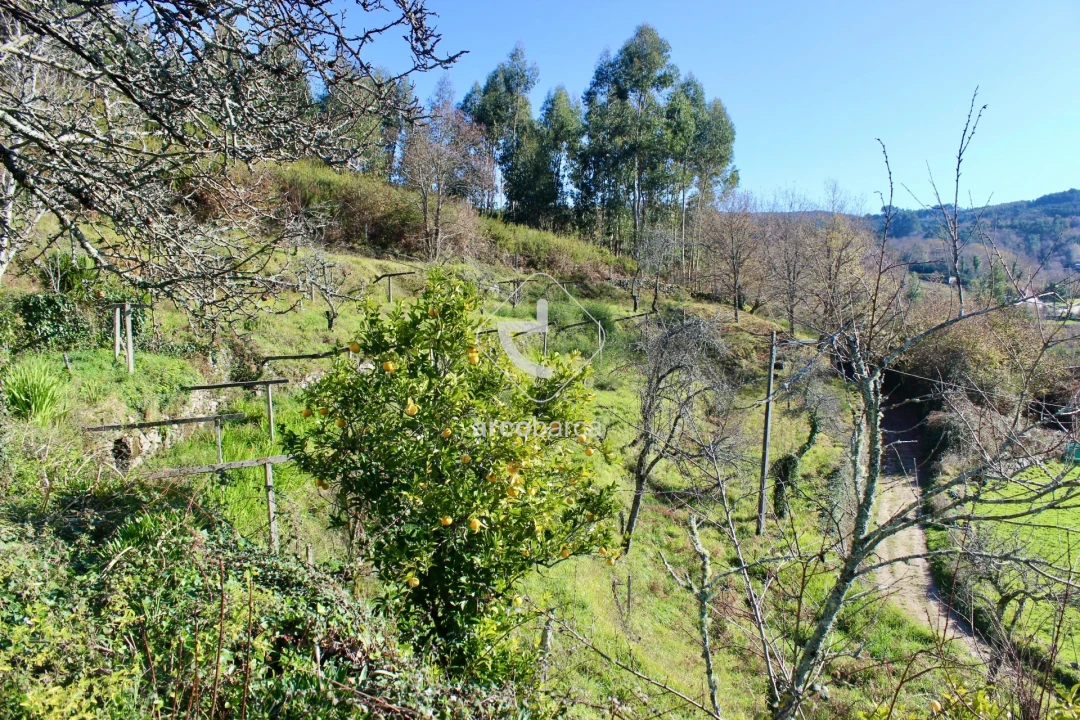 Moradia T2 para Venda em Insalde e Porreiras Foto 40