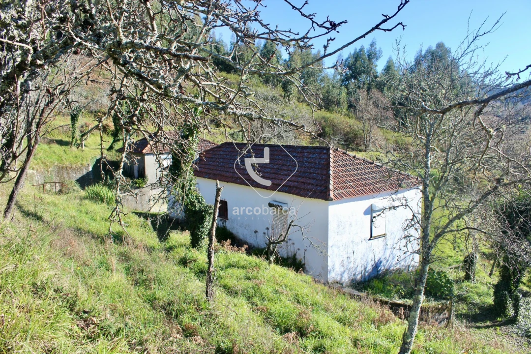 Moradia T2 para Venda em Insalde e Porreiras Foto 2