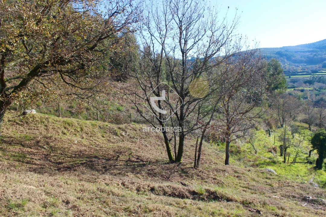 Moradia T2 para Venda em Insalde e Porreiras Foto 34