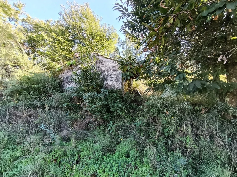 Terreno para Venda em Gamil e Midões Foto 5