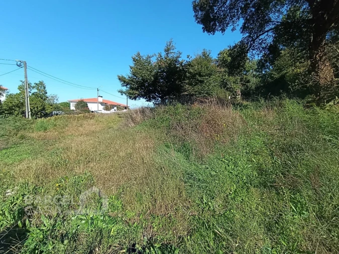 Terreno para Venda em Gamil e Midões Foto 2