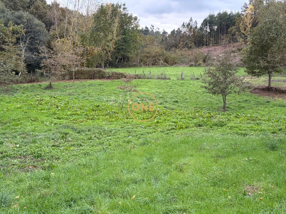 Terreno para Venda em Campelo e Ovil Foto 3