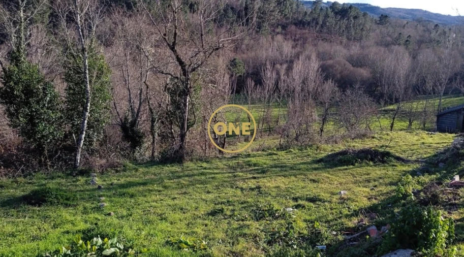 Terreno para Venda em Campelo e Ovil Foto 5