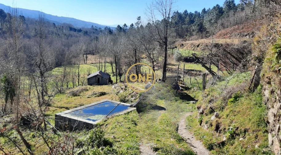Terreno para Venda em Campelo e Ovil Foto 8