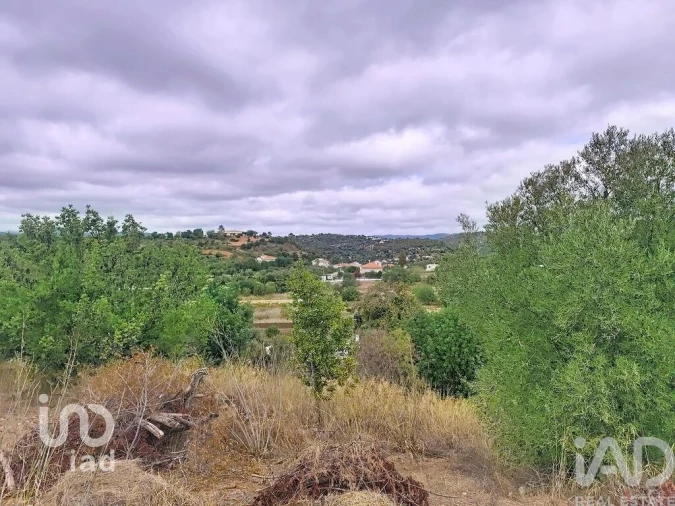 Moradia para Venda em Querença, Tôr e Benafim Foto 4