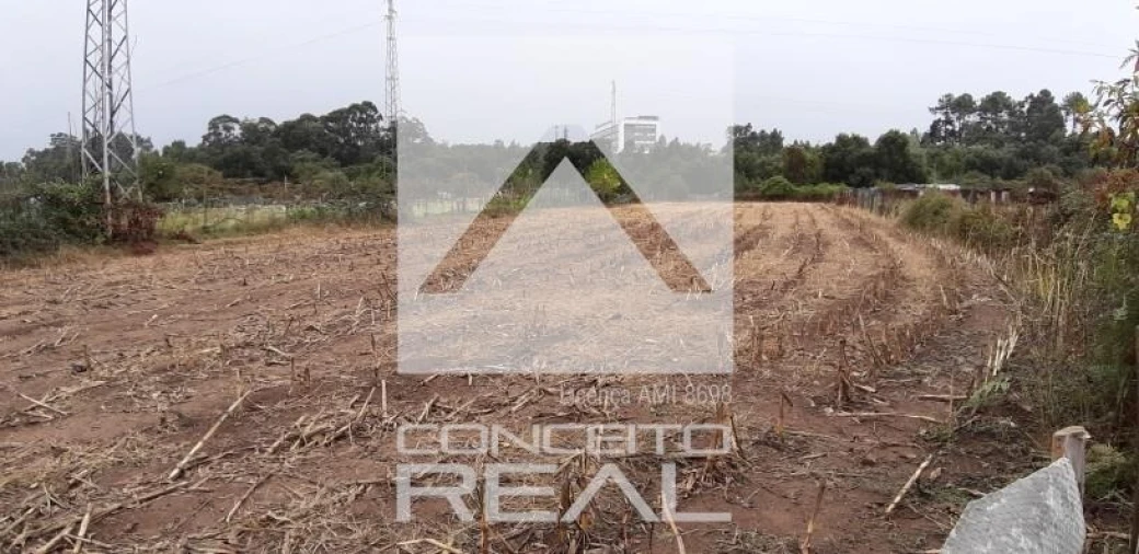 Terreno para Venda em Alfena Foto 5