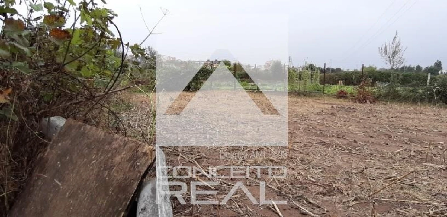 Terreno para Venda em Alfena Foto 4