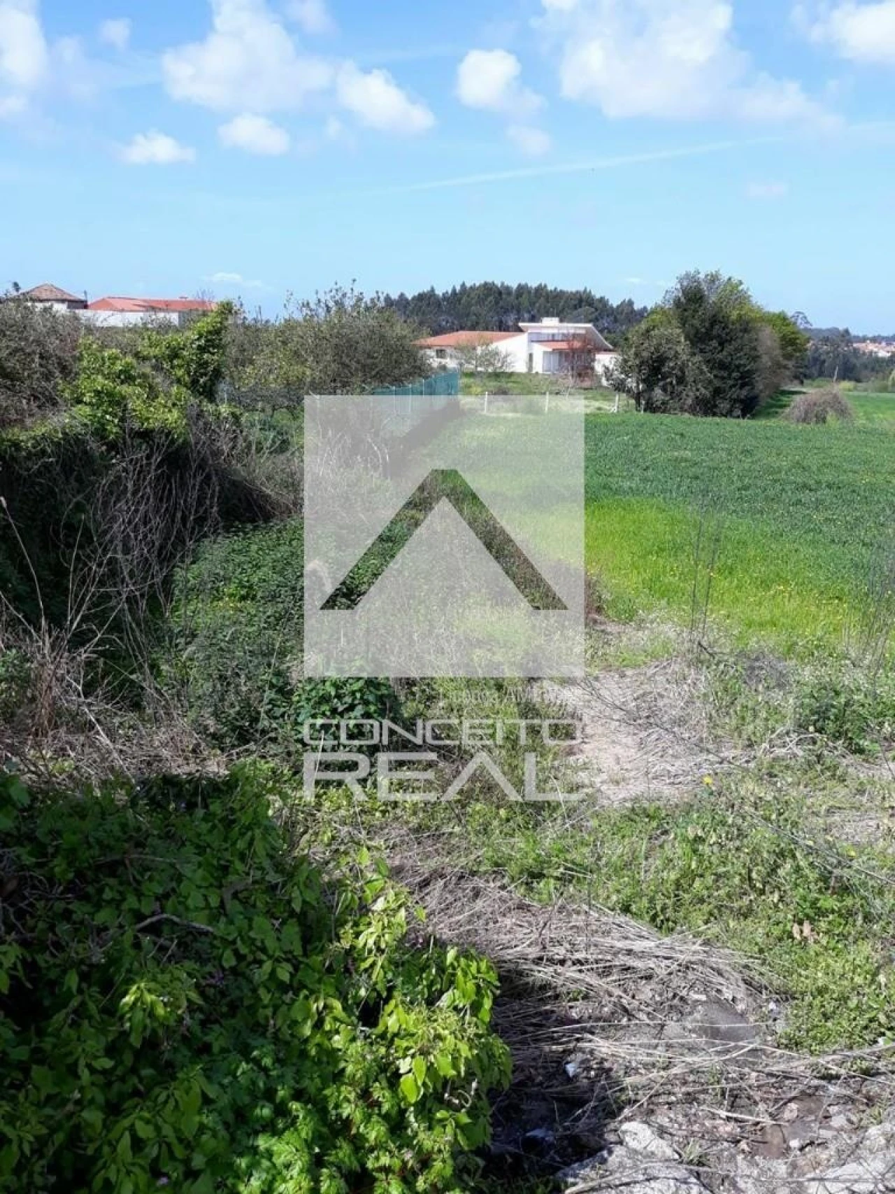 Terreno para Venda em Guilhabreu Foto 5