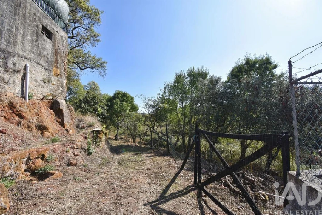 Quinta T5 para Venda em São Miguel, Santa Eufémia e Rabaçal Foto 3