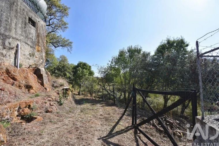 Quinta T5 para Venda em São Miguel, Santa Eufémia e Rabaçal Foto 3