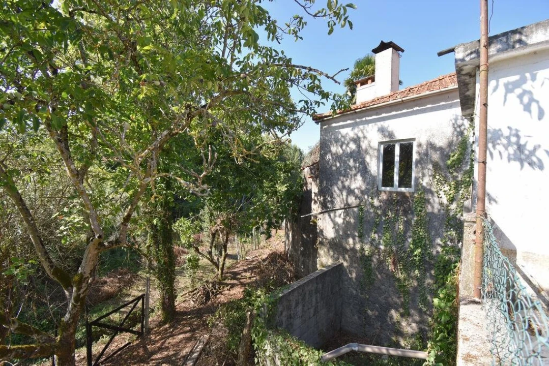 Quinta T5 para Venda em São Miguel, Santa Eufémia e Rabaçal Foto 6