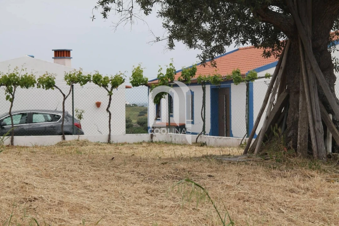 Quinta T3 para Venda em Vale de Santiago Foto 4