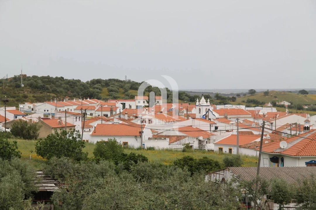 Quinta T3 para Venda em Vale de Santiago Foto 45