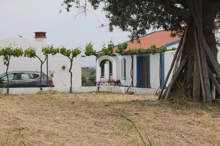 Quinta T3 para Venda em Vale de Santiago Foto 4