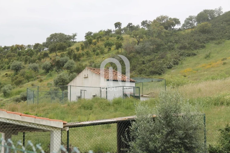 Quinta T3 para Venda em Vale de Santiago Foto 30