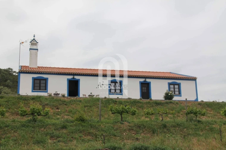 Quinta T3 para Venda em Vale de Santiago