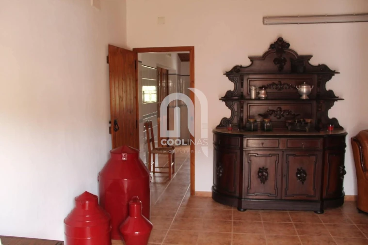 Quinta T3 para Venda em Vale de Santiago Foto 31