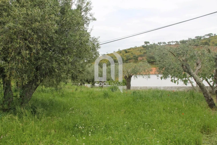 Quinta T3 para Venda em Vale de Santiago Foto 38