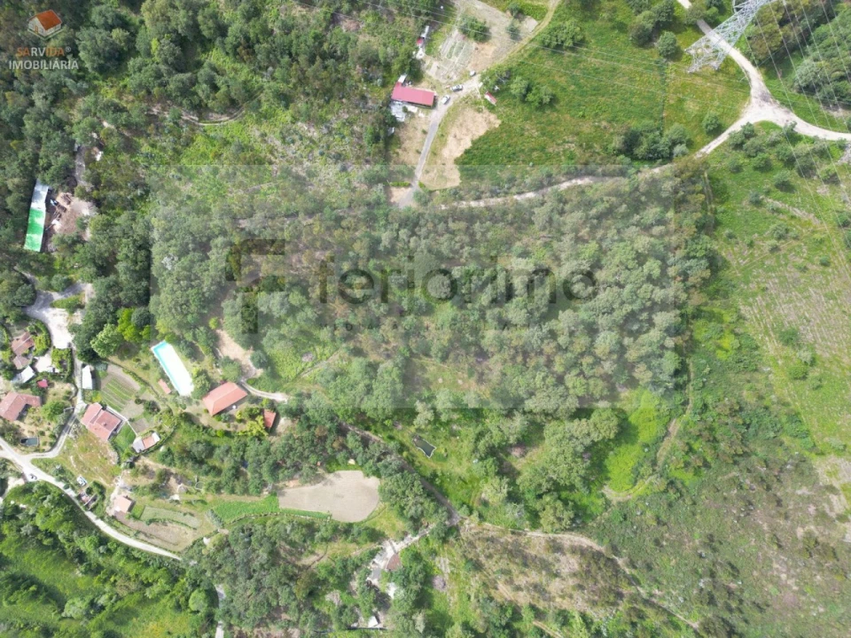 Quinta T2 para Venda em São Torcato Foto 19