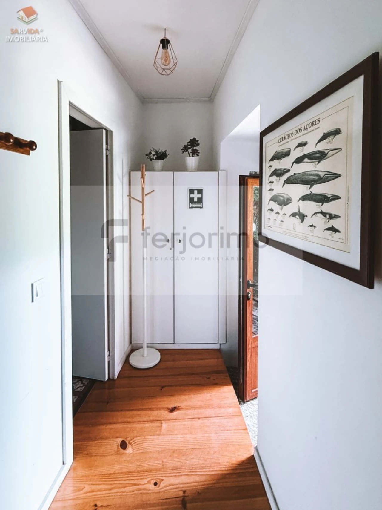 Quinta T2 para Venda em São Torcato Foto 20