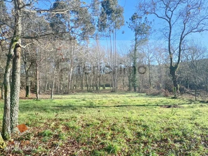 Quinta T2 para Venda em São Torcato Foto 9