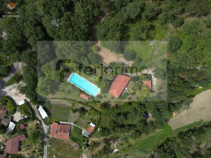 Quinta T2 para Venda em São Torcato Foto 13