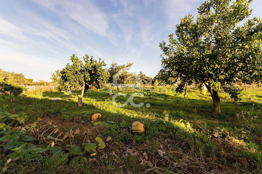 Quinta T3 para Venda em Canaviais Foto 33
