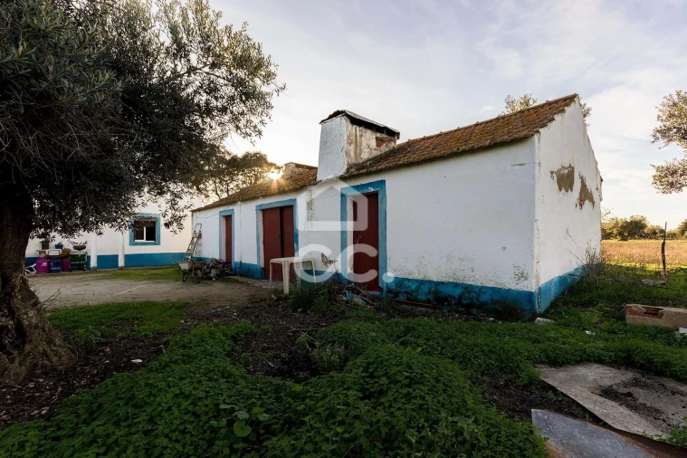 Quinta T3 para Venda em Canaviais Foto 15