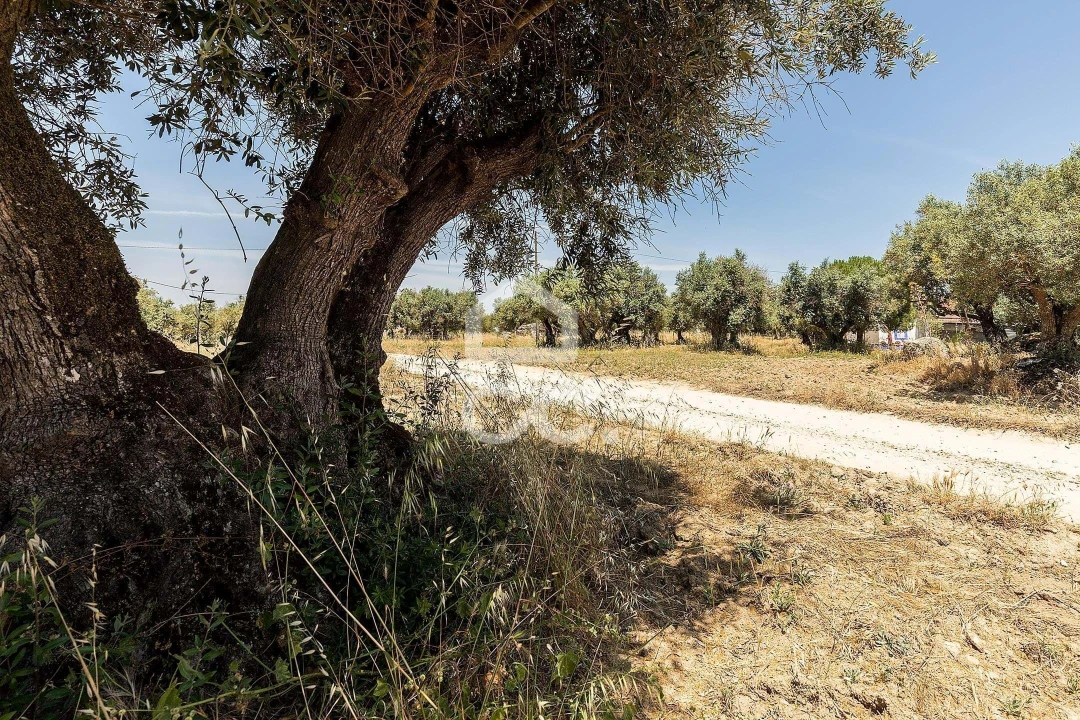 Quinta T3 para Venda em Bacelo e Senhora da Saúde Foto 36