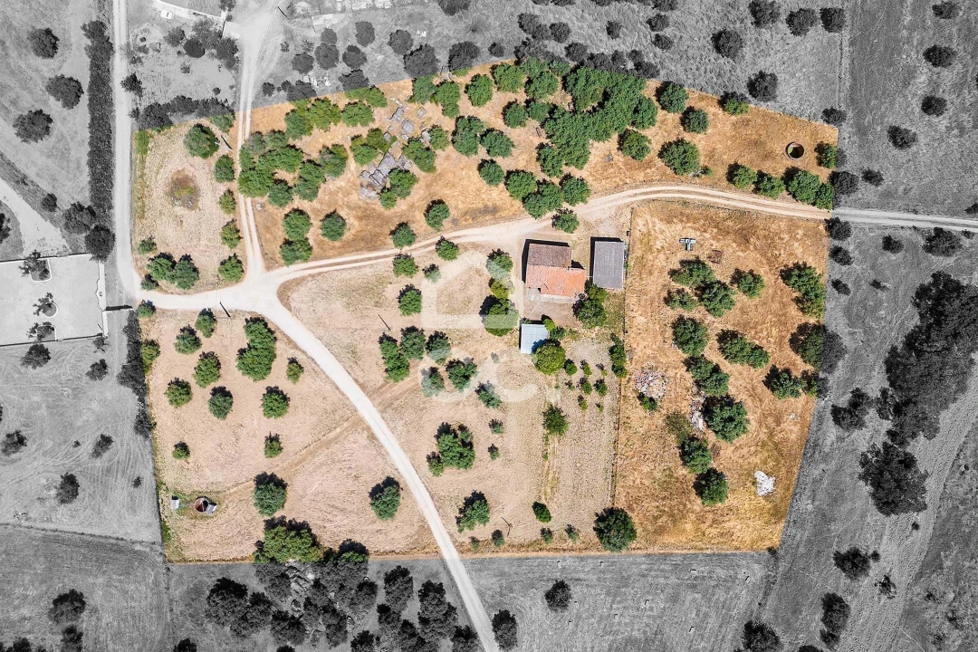 Quinta T3 para Venda em Bacelo e Senhora da Saúde Foto 7