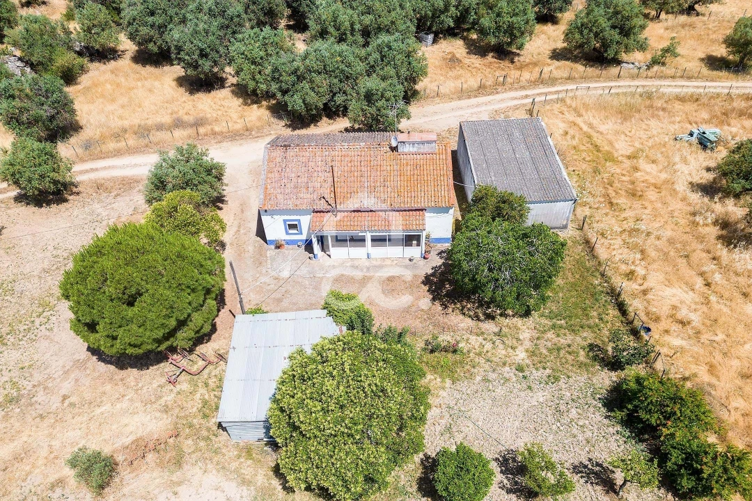 Quinta T3 para Venda em Bacelo e Senhora da Saúde Foto 3