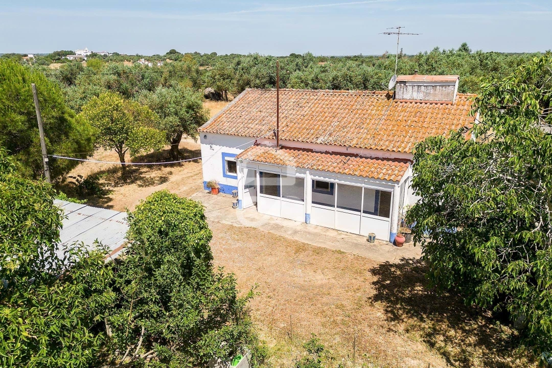 Quinta T3 para Venda em Bacelo e Senhora da Saúde Foto 59