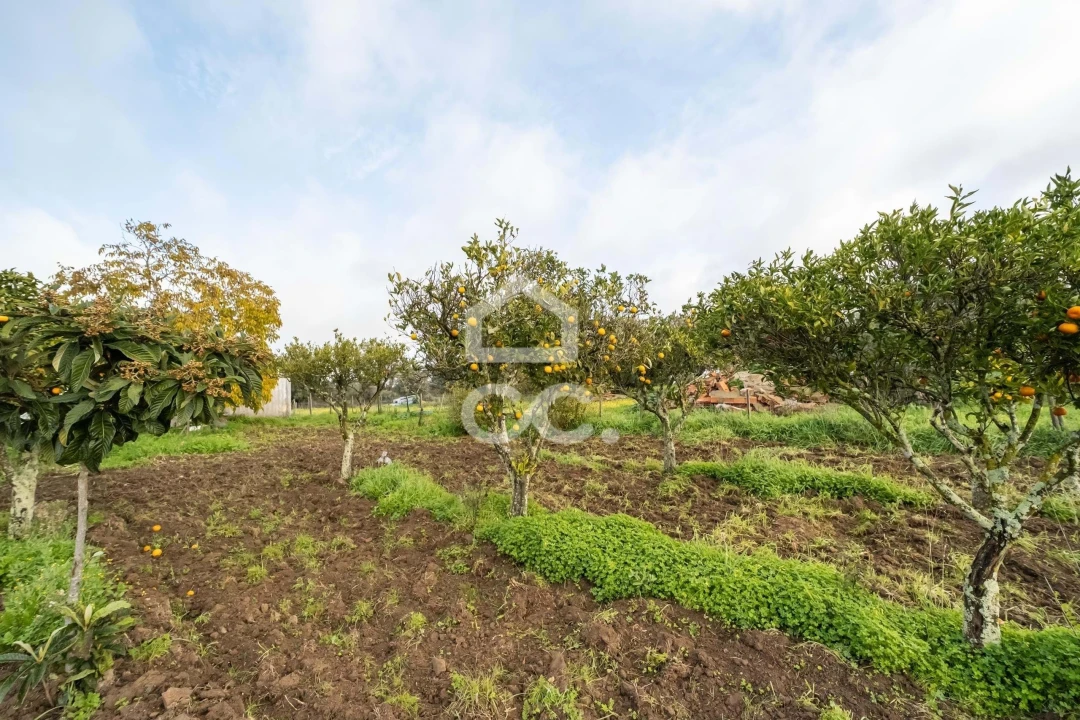 Quinta T3 para Venda em Bacelo e Senhora da Saúde Foto 89