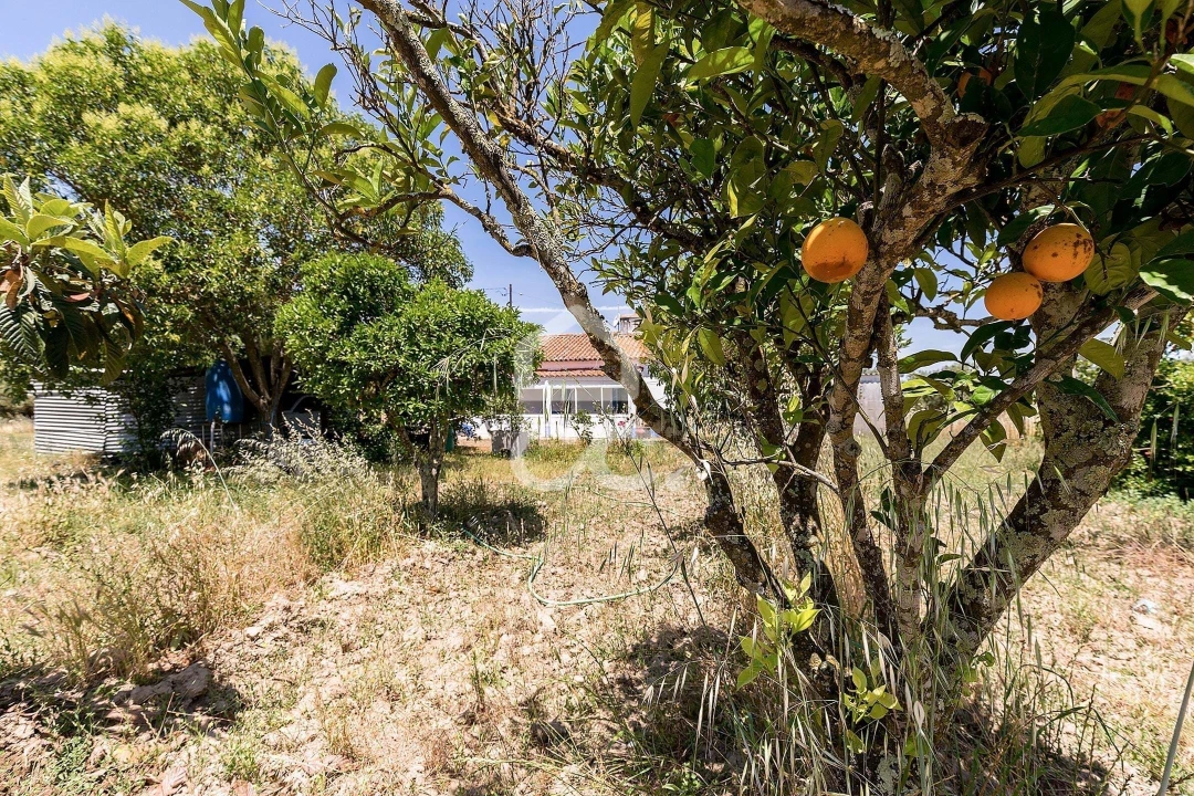 Quinta T3 para Venda em Bacelo e Senhora da Saúde Foto 38