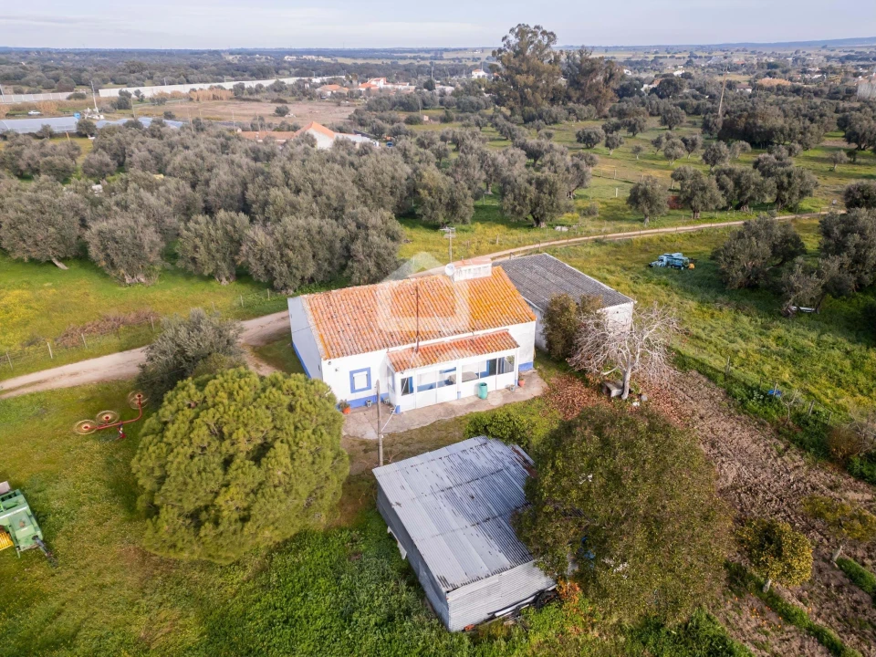Quinta T3 para Venda em Bacelo e Senhora da Saúde Foto 78