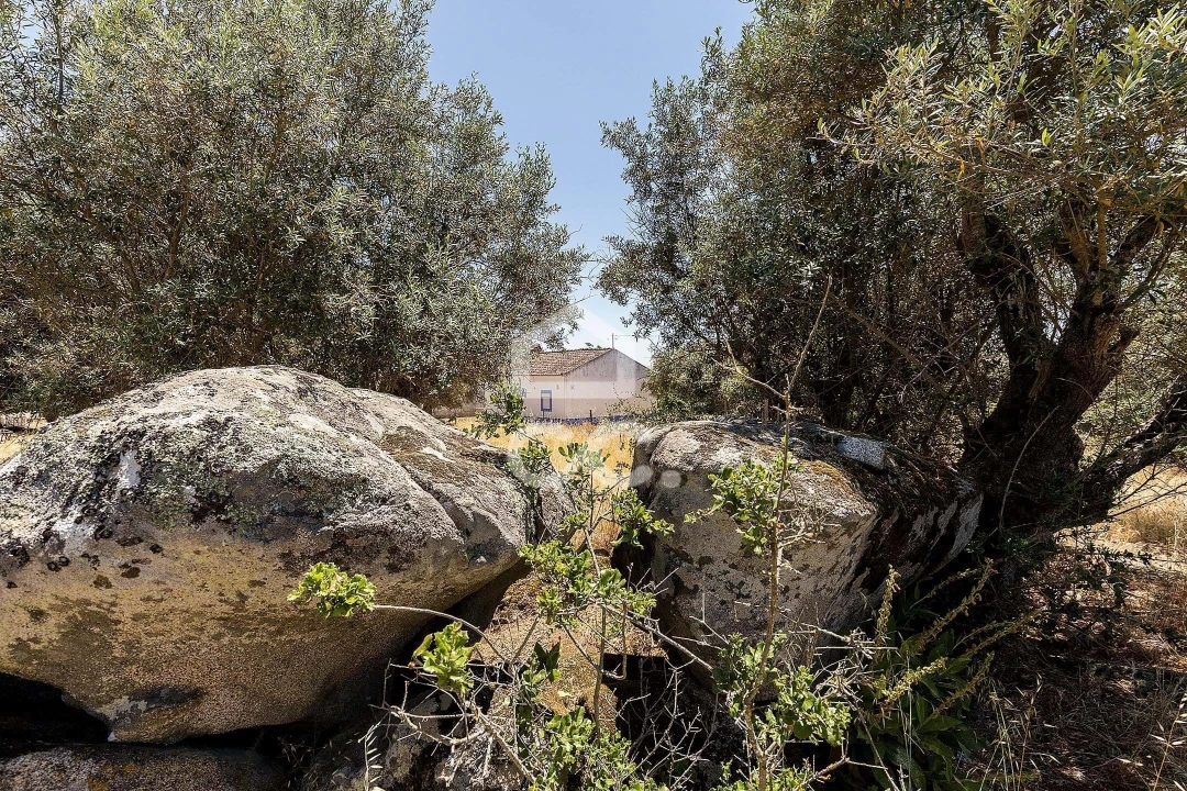 Quinta T3 para Venda em Bacelo e Senhora da Saúde Foto 44