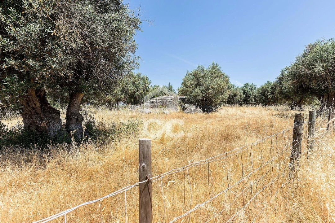 Quinta T3 para Venda em Bacelo e Senhora da Saúde Foto 53