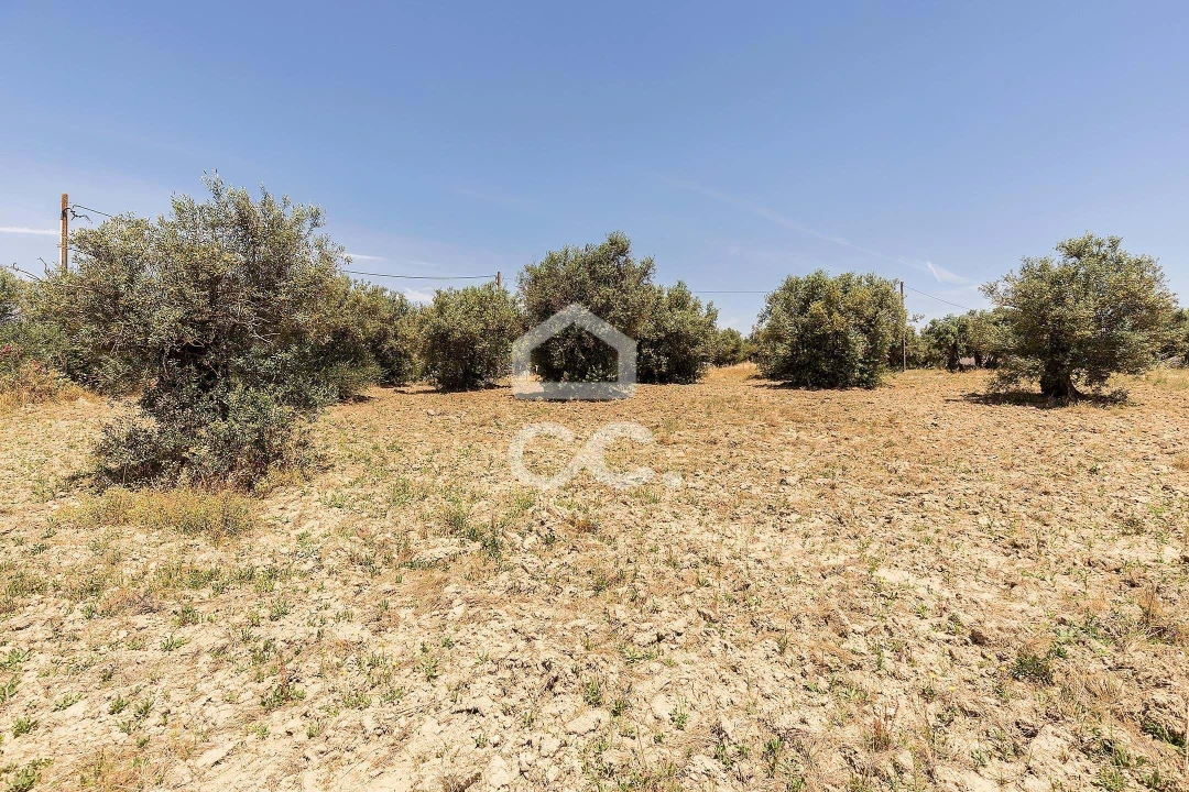 Quinta T3 para Venda em Bacelo e Senhora da Saúde Foto 35