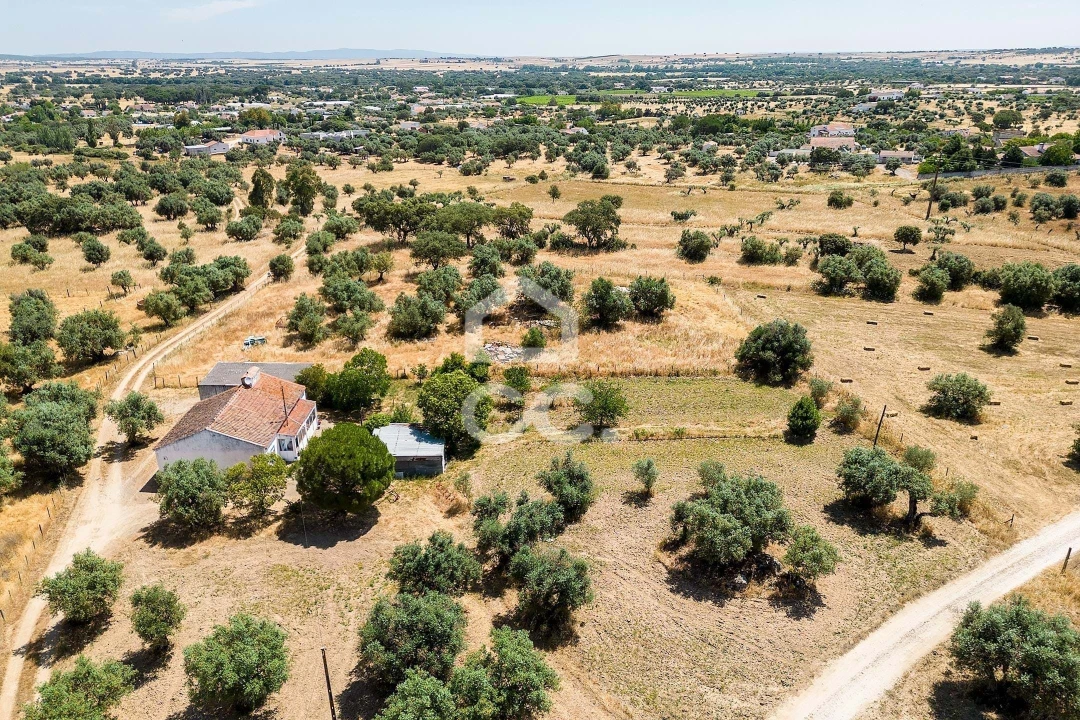 Quinta T3 para Venda em Bacelo e Senhora da Saúde Foto 63