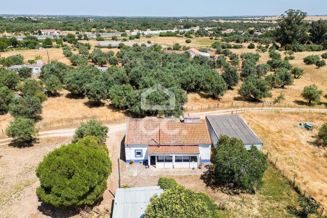 Quinta T3 para Venda em Bacelo e Senhora da Saúde Foto 58